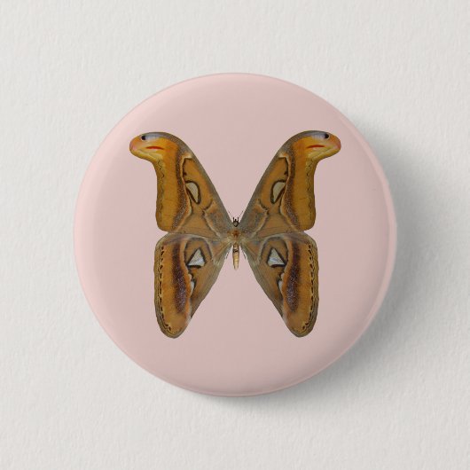 Atlas-Motte Button (Vorderseite)