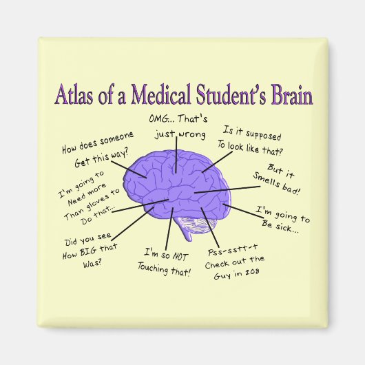 Atlas of a Medical Student's Brain #2 Magnet (Vorne)