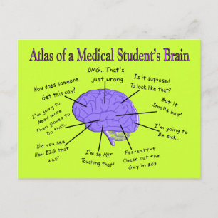 Atlas of a Medical Student's Brain #2 Postkarte