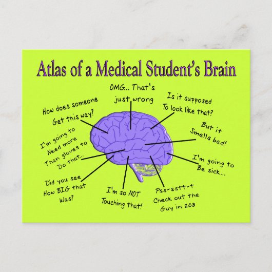 Atlas of a Medical Student's Brain #2 Postkarte (Vorderseite)