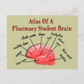 Atlas of a Pharmacy Student Brain Postkarte (Vorderseite)