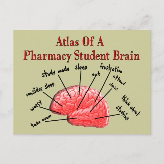 Atlas of a Pharmacy Student Brain Postkarte (Vorderseite)