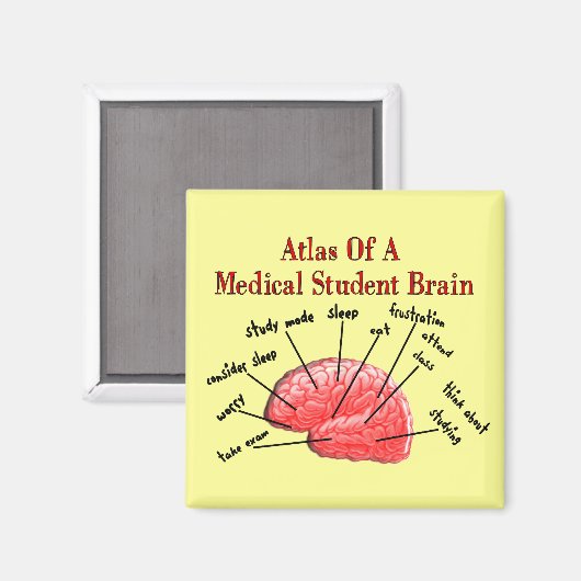 Atlas of Medical Student Brain Magnet (Vorderseite/Rückseite)