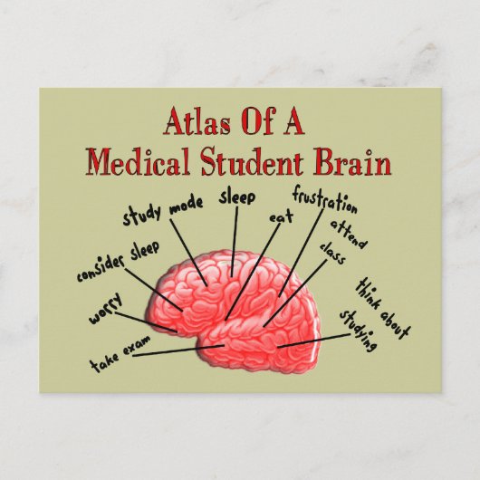 Atlas of Medical Student Brain Postkarte (Vorderseite)