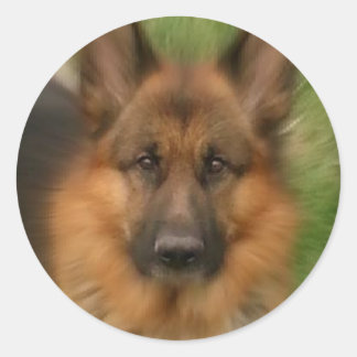 Atlas the Wonderdog Runder Aufkleber