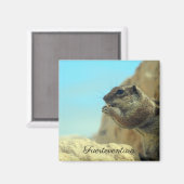 Atlashörnchen Magnet (Vorderseite/Rückseite)