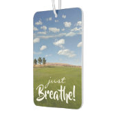 Atme einfach! Sonnentag Grüne Weiden Autolufterfrischer (Links)