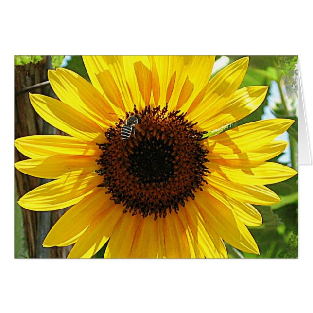 Atme nicht zu tief (Vorderseite (Horizontal))