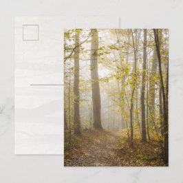 Atmosphärischer Herbstpark im Nebel Postkarte