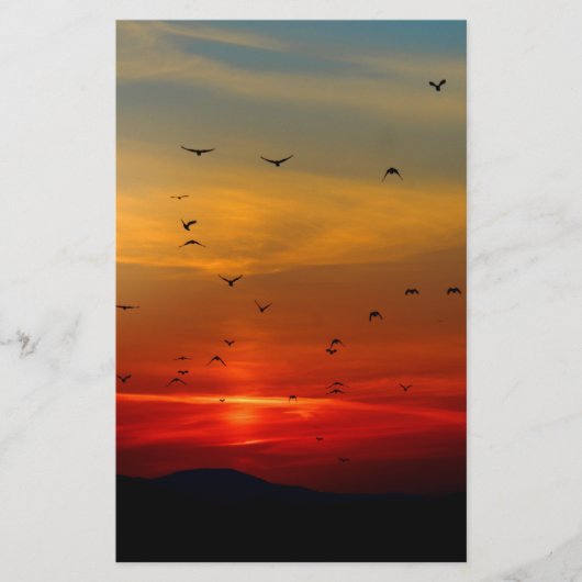 Atmosphärischer Himmel, Sonnenuntergang, Vögel, sc Briefpapier (Vorderseite)