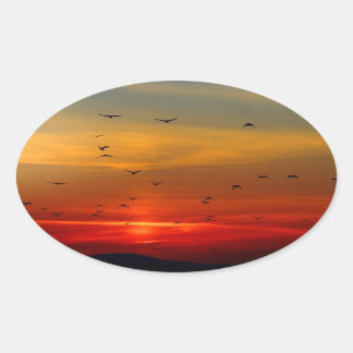 Atmosphärischer Himmel, Sonnenuntergang, Vögel, sc Ovaler Aufkleber