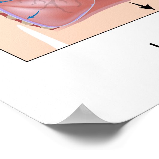 Atmung: Inspiration Ablaufplakat Poster (Ecke)