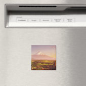 Ätna Magnet (In Situ (Geschirrspüler))