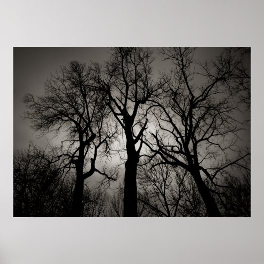 Atomcerebellum : Lake Front im Winter Poster (Vorne)