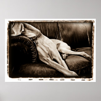 Atomic Cerebellum : Übernahme der Couch Poster