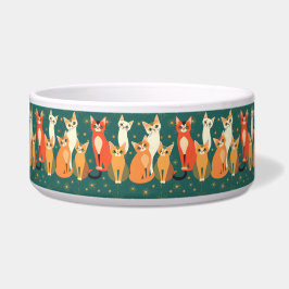 Atomzeitalter Vintag MCM Mitte Jahrhundert Moderne Napf