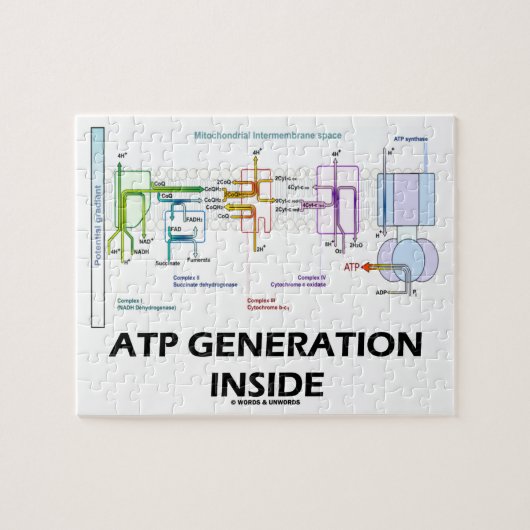 Atp-Generation innerhalb der Puzzle (Horizontal)