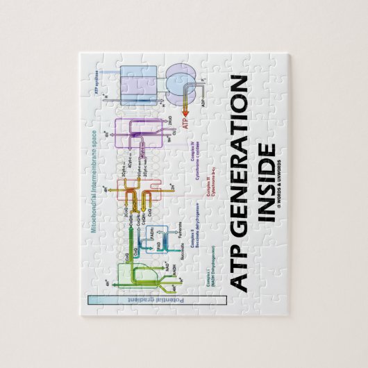 Atp-Generation innerhalb der Puzzle (Vertikal)