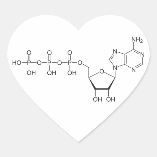 ATP Molekül Herz-Aufkleber (Vorderseite)