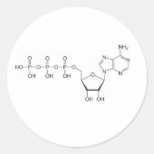Atp-Molekül Runder Aufkleber (Vorderseite)