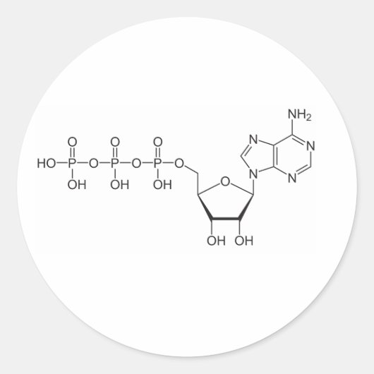 Atp-Molekül Runder Aufkleber (Vorderseite)