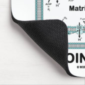 ATP-Produktion im Innen Mousepad (Ecke)