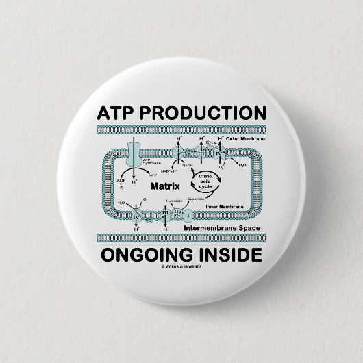 Atp-Produktions-laufendes Innere Button (Vorderseite)
