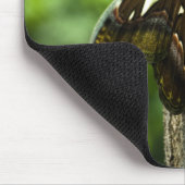 Attacus Atlas Mousepad (Ecke)