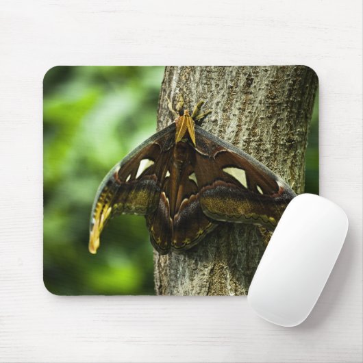 Attacus Atlas Mousepad (Mit Mouse)