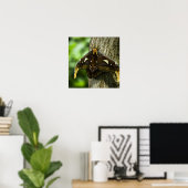 Attacus Atlas Print Poster (Heimbüro)