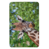 Attentive Giraffe Magnet (Vertikal)