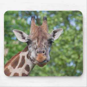 Attentive Giraffe Mousepad