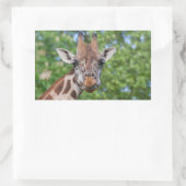 Attentive Giraffe Rechteckiger Aufkleber (Tasche)
