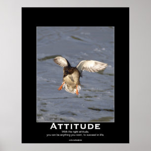 Attitude Mallard Duck Motivational Posters Poster