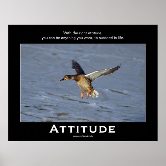 Attitude Mallard Duck Motivierend Poker Poster (Vorne)