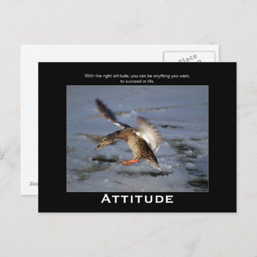 Attitude Mallard Duck Motivierend Postkarten (Vorne/Hinten)
