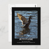 Attitude Mallard Duck Motivierend Postkarten (Vorne/Hinten)