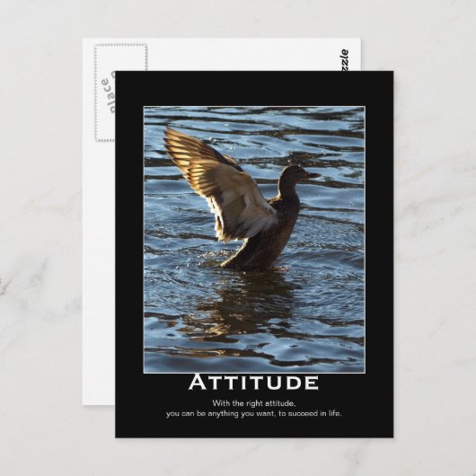 Attitude Mallard Duck Motivierend Postkarten (Vorne/Hinten)