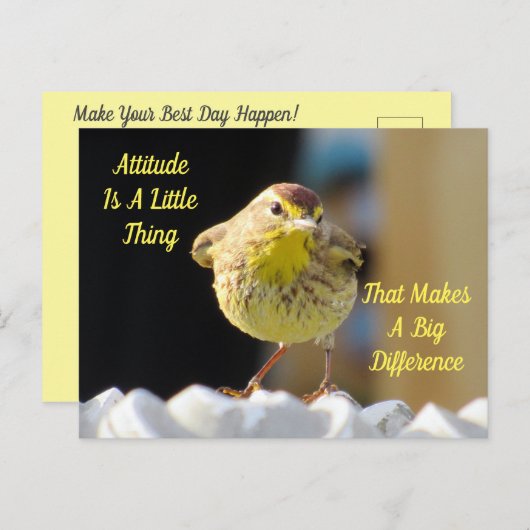 Attitude Postcard - Palm Warbler Bird Postkarte (Vorne/Hinten)