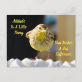 Attitude Postcard - Palm Warbler Bird Postkarte (Vorderseite)