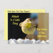 Attitude Postcard - Palm Warbler Bird Postkarte (Vorne/Hinten)