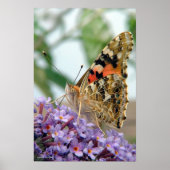 'Attitude' Poster (Vorne)