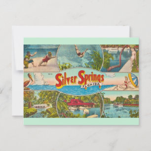 Attraktion in Vintage-Silver Springs Postkarte