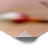 Attraktive japanische Apricot-Blume Poster (Ecke)