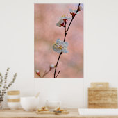 Attraktive japanische Apricot-Blume Poster (Küche)