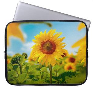 Attraktives Feld mit leuchtend gelben Sonnenblumen Laptopschutzhülle
