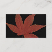 Attraktives japanisches Ahornblatt Visitenkarte (Rückseite)