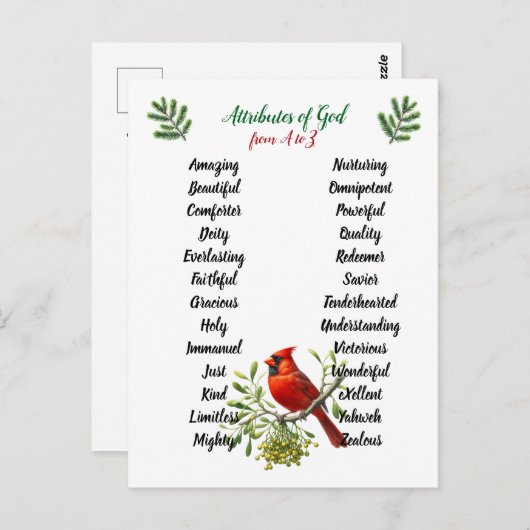 Attributes of God Christmas Birds and Branches Postkarte (Vorne/Hinten)
