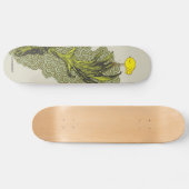 attweetude skateboard (Horizontal)