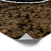 ATV - Wir fahren oder was? Poster (Ecke)